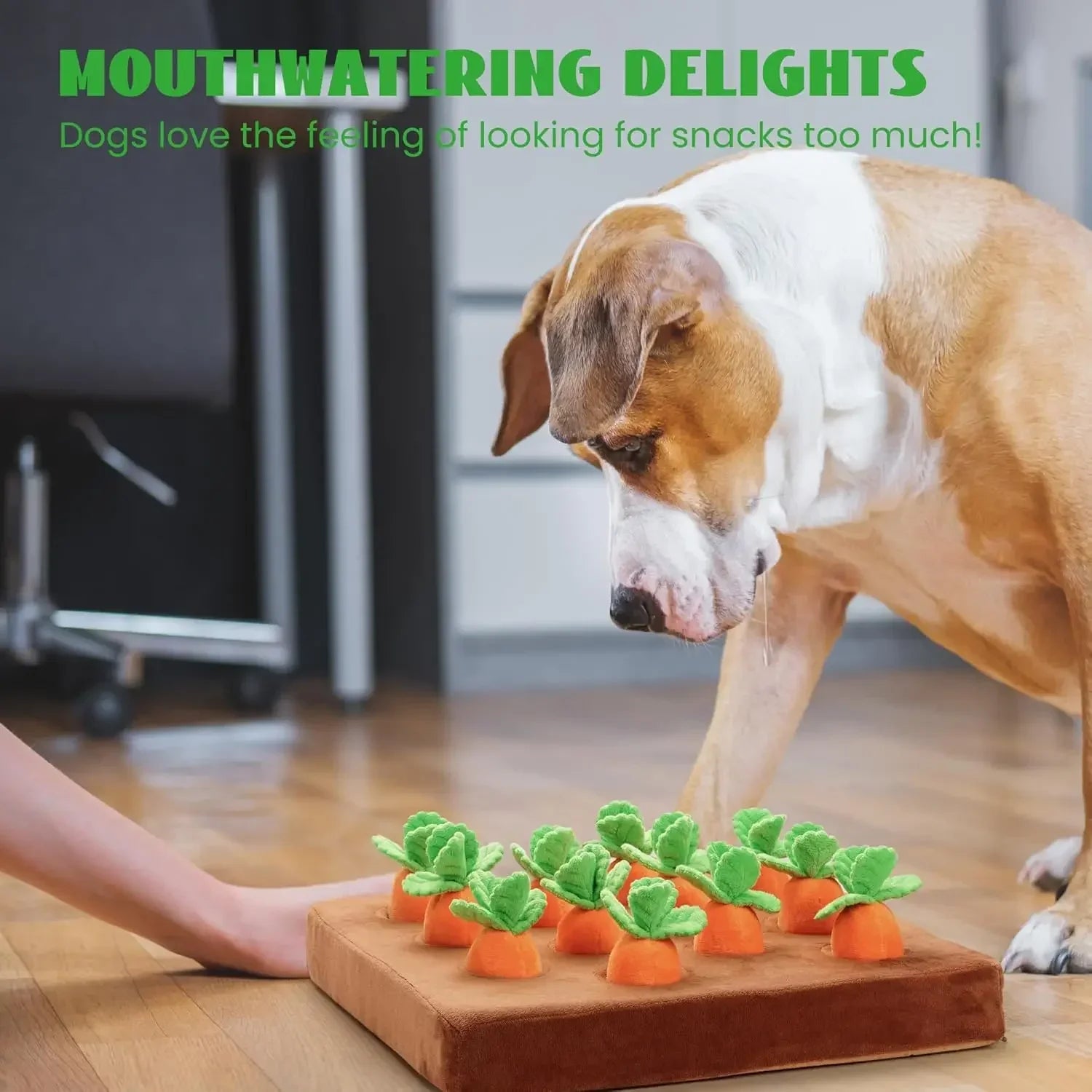 12 pcs Carrot Dog Squeaky Toys with Food Dispensing Farm, Enrichment Hide and Seek, Puzzle Small an