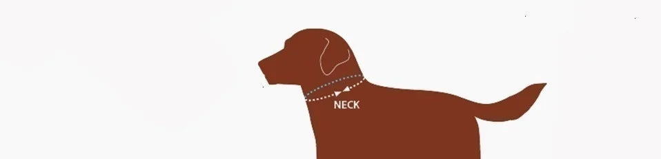 Benepaw Quality Genuine Leather Dog Collar Durable Vintage Heavy-duty Rustproof Double D-Ring Pet Collar For Medium Large Dogs