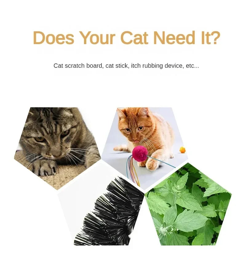 Cat Interactive Toy Arch Self-Grooming Device Pet Brush Care Belt Massage Removable Grooming Friction Toy Cat Accessories