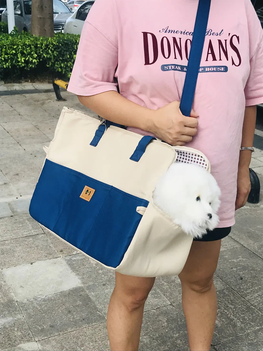 Dog Car Seat Dog Booster Car Seat Cat Carrier Bag Cat Bed for Small Dogs Cats Pet Car Seat with Pad and Straps for Dogs Cats