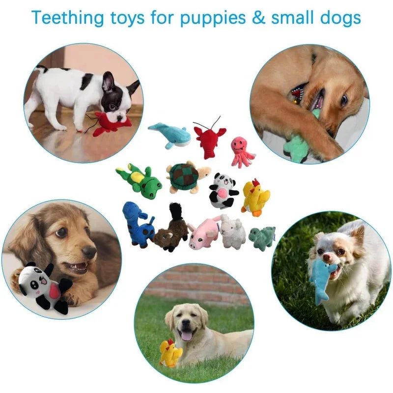 Squeaky Plush Dog Toy Puppy, Small Stuffed Chew Toys 12 Bulk with Squeakers, Cute Soft Pet