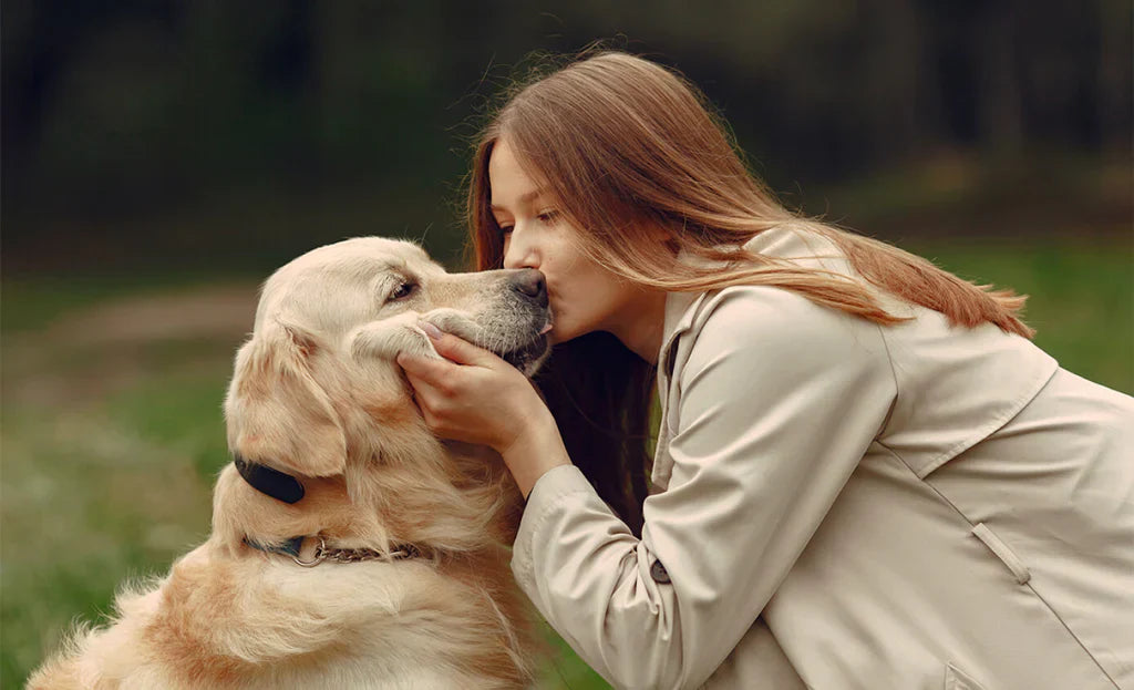 The Joy of Playtime: Benefits of Interactive Toys for Pets